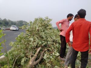 अनियंत्रित स्कोर्पियो कार सड़क से गहरी खाई में गिरी, एक की मौत, दो गंभीर घायल